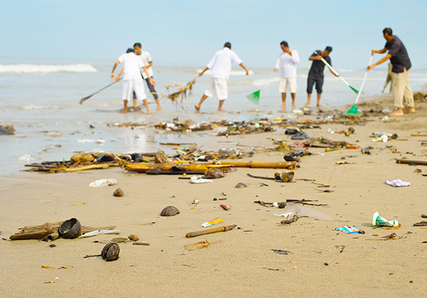 Environmental Concerns